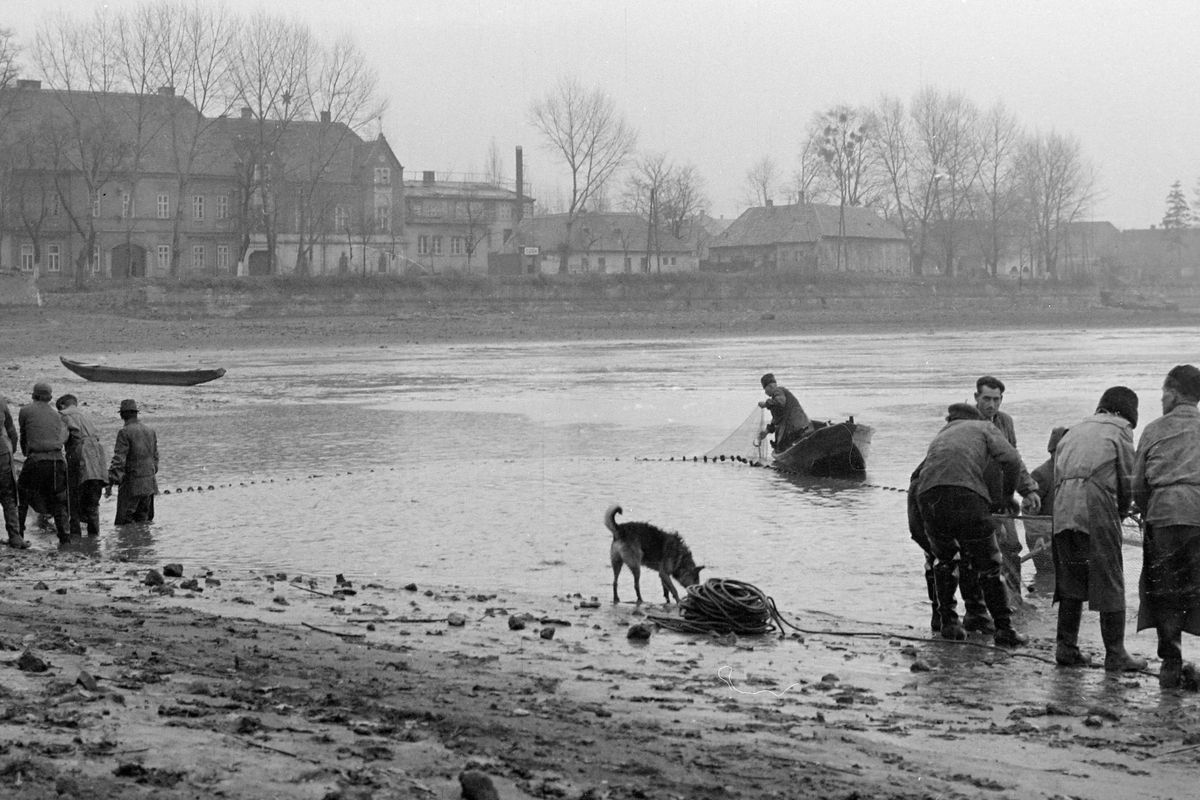 akkor és most 1964 lehlászás