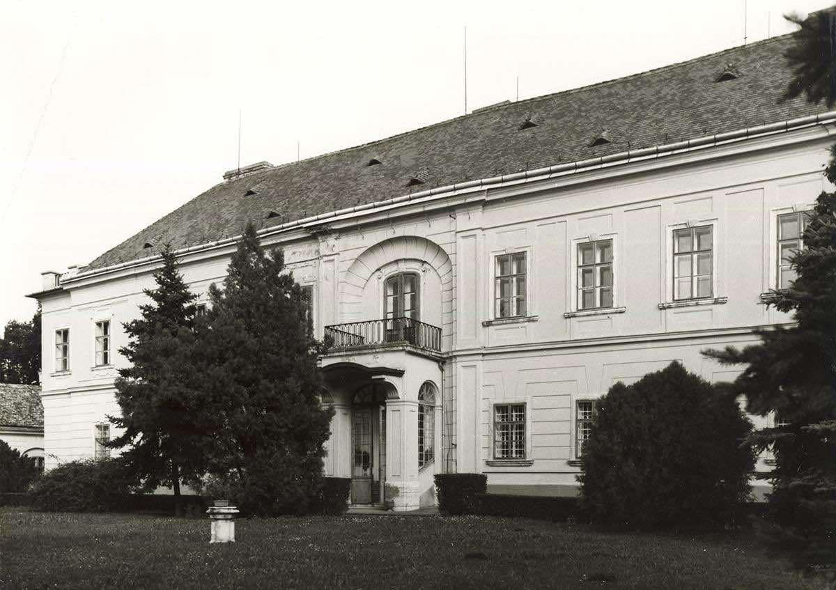 A második világháború után három kastélykórházat hoztak létre az akkori gesztesi.-tatai járásban. Ezek egyike a tatai Esterházy-kastélyban jött létre, ahova a lipótmezei elme- és ideggyógyintézet betegeit helyezték el. De vajon hogyan kerültek az elmebetegek a grófi lakosztályokba?