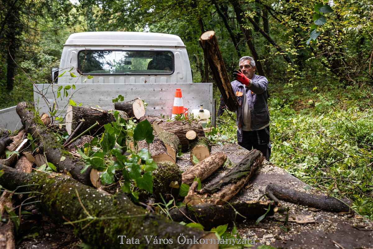 Egy autó motorháztetőjére zuhant egy vaskos faág Tatán, a Remeteségbe vezető Fekete úton. A helyiek szerint az út mellett álló kiszáradt, korhadt fák komoly veszélyt jelentenek az autósokra. Az önkormányzat a probléma megoldását ígérte.  