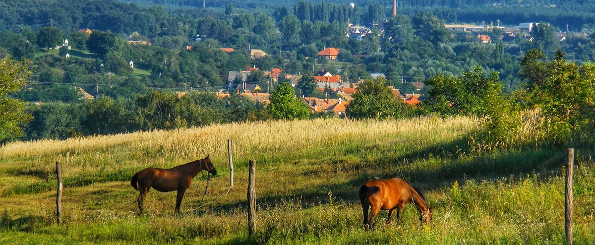 Mi a helyzet Pusztavámnál? Csárdi Antal szerint környezetszennyezés folyik a Cica-homokbányánál. A hatóságok, az önkormányzat és a beruházó cég is reagált a vádakra.