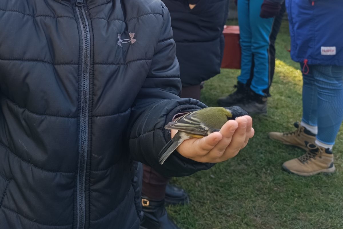  A kismadarakat pedig gyerekkezek engedték útjára a gyűrűzés után.