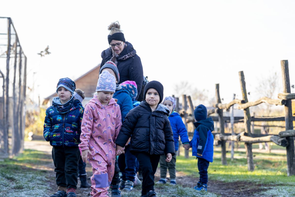 A kicsik sétát tettek a Kemence Egyesület farmján