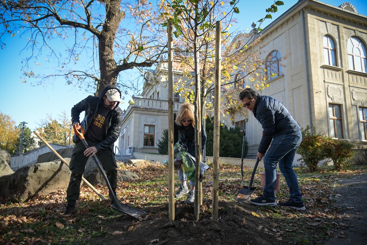 Jubileumi évadot ünnepel a Jászai Mari Színház, Népház