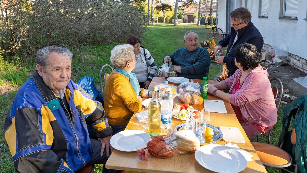 Remek hangulatban piknikeztek a tatai nyugdíjasok