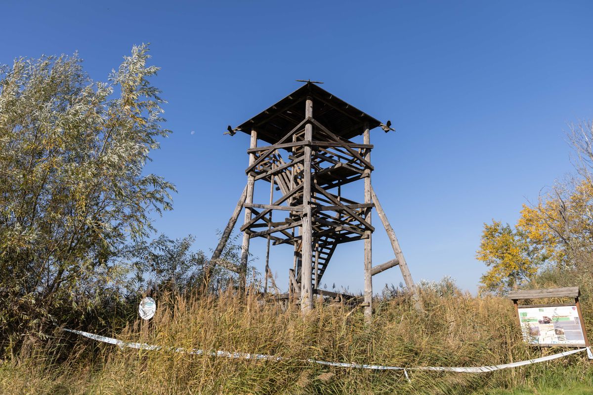 Még 2023 februárjában helyezték ki a balesetveszélyre felhívó táblát a tatai Réti VIII-as tavaknál álló kilátó elé. Michl József polgármester a Kemma.hu kérdésére elárulta, hogy mi lehet a halastó kilátójának a sorsa. 