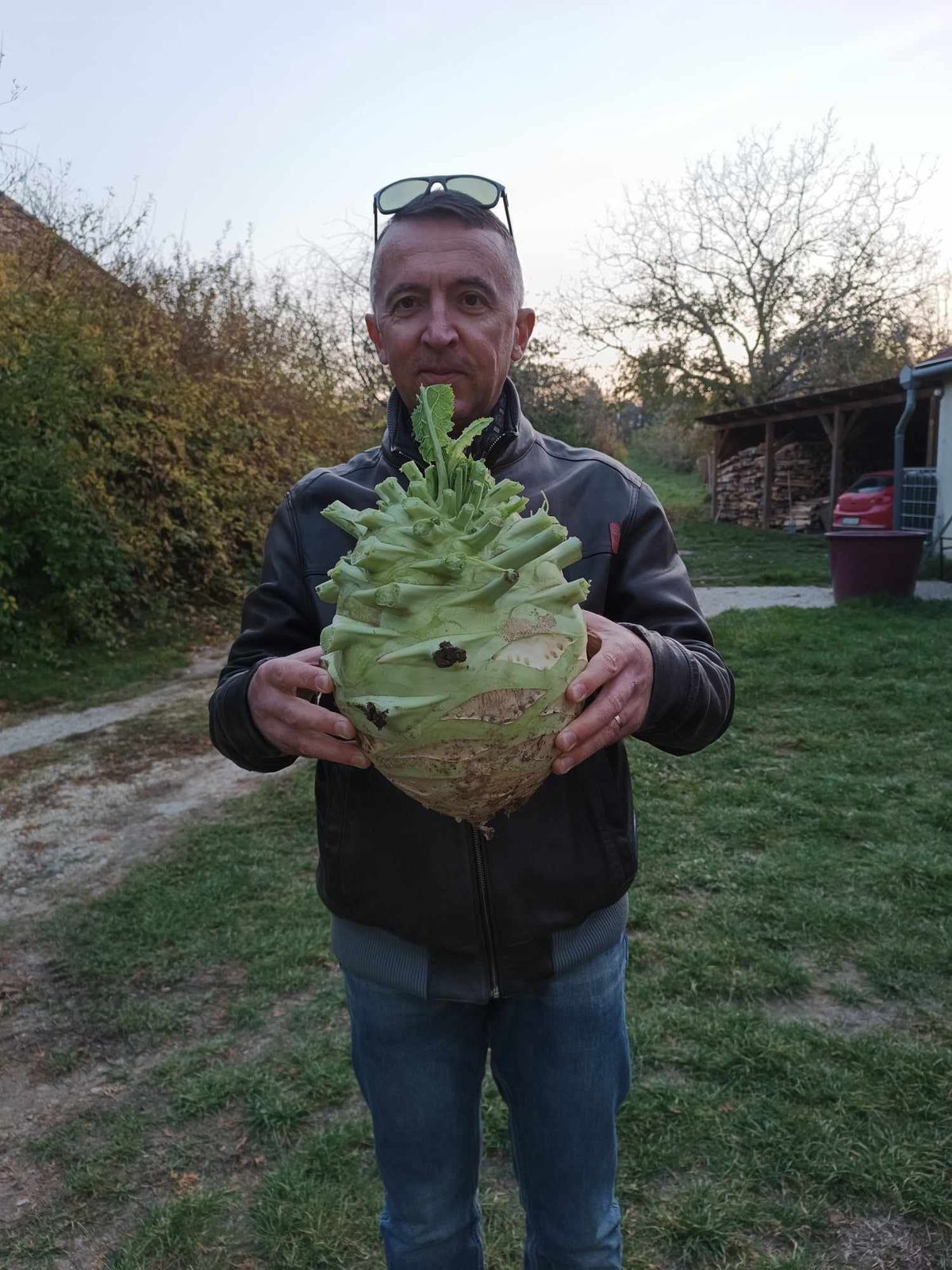 Hatalmas méretű karalábét növesztett a bakonyi lelkész