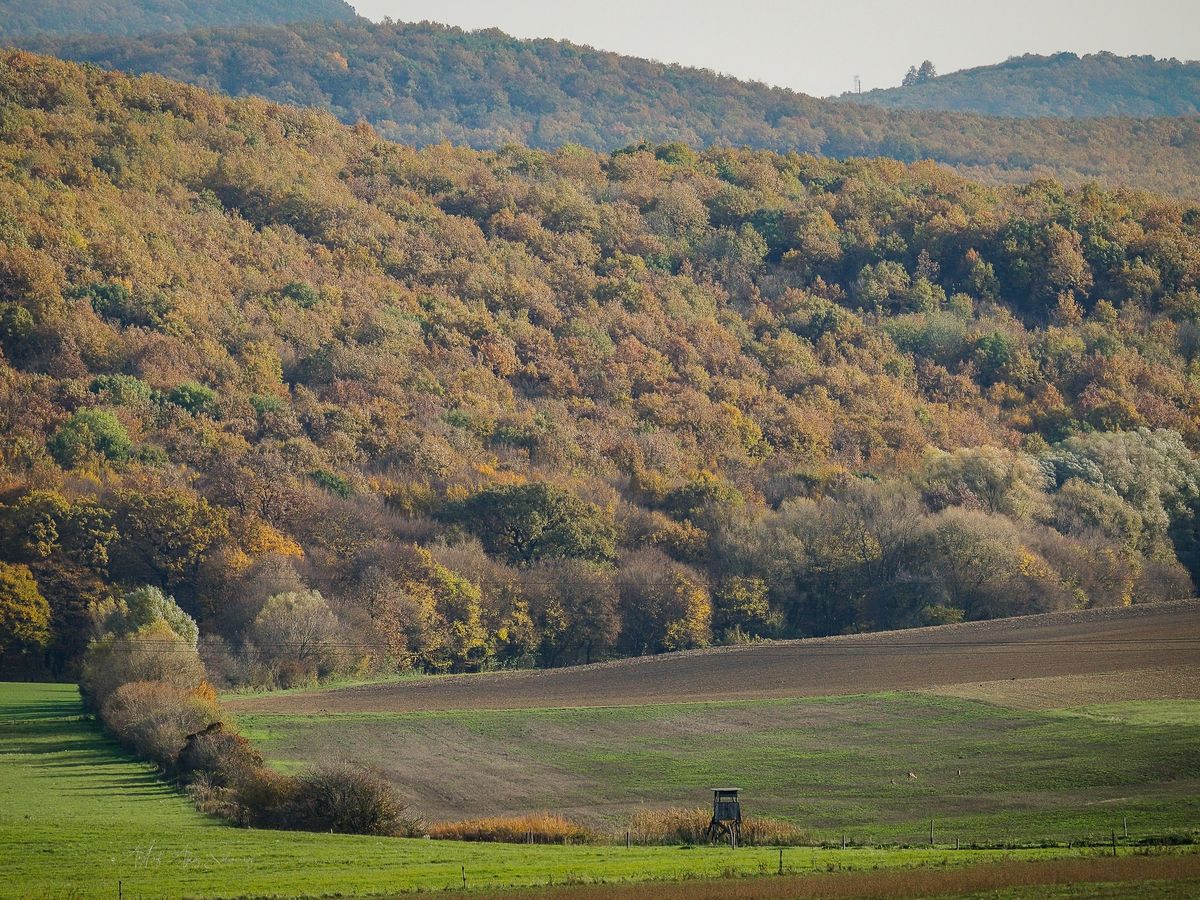 Őszi fotók a Gerecsében