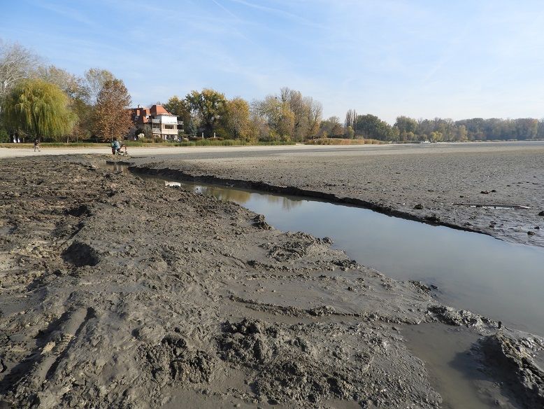 Több ezren kíváncsiak a tatai vadludakra a téli hónapokban. A természetvédők most egy ötletes módszerrel szeretnék biztosítani a Tatai Vadlúd Sokadalom sztárjainak nyugalmát. 