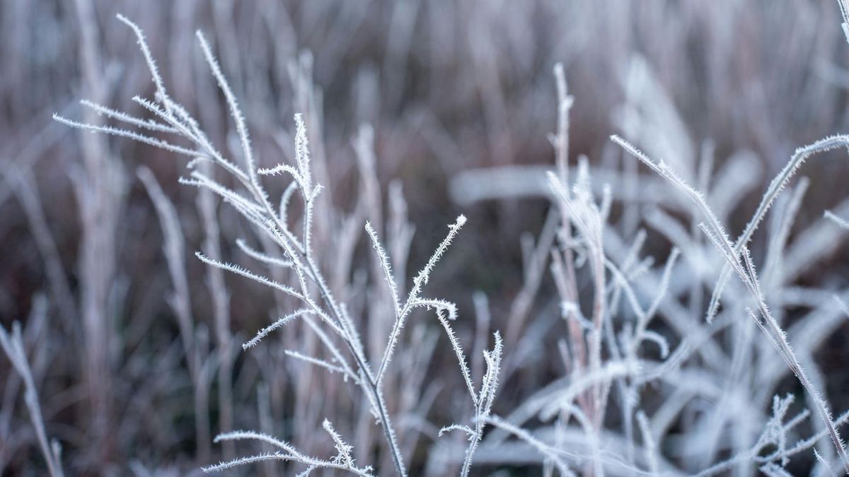 Máris mínusz fokokat mérhetünk, fagy, időjárás, fagyás, tél, hideg, mínusz, weather, winter