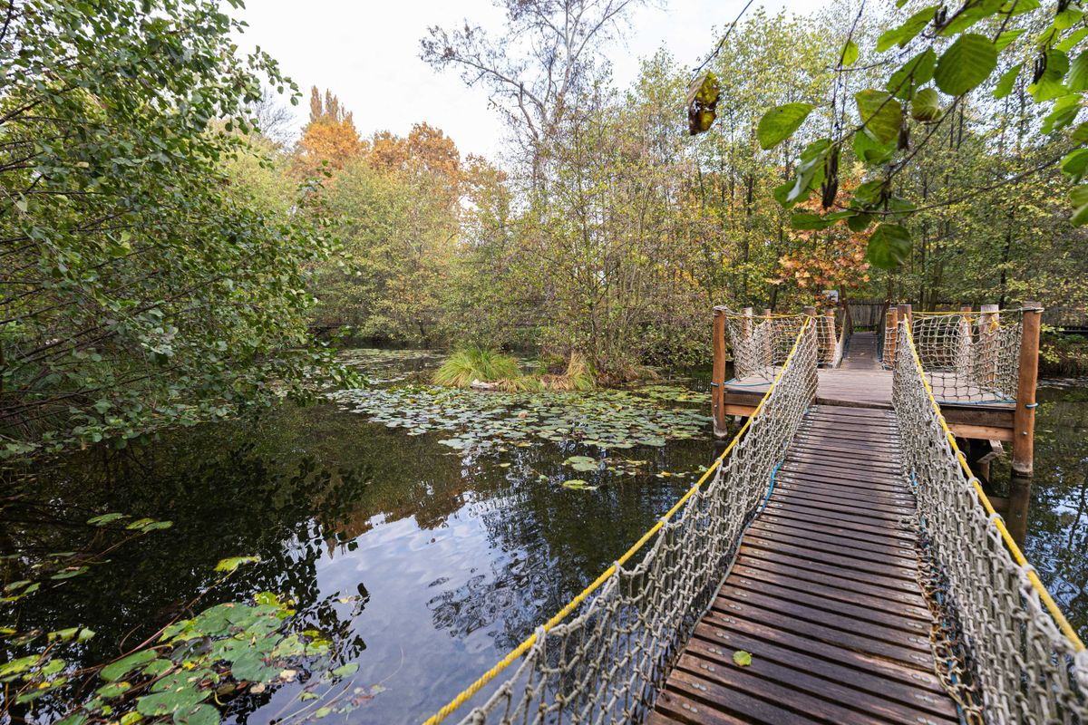 Őszi színekbe borult a Tatai Fényes Tanösvény