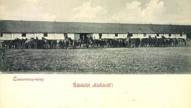 A település múltja a Batthyány-birtokoktól a híres telivérekig számos érdekességet rejt. Kisbér neve évszázadok óta izgalmas történeteket őriz.