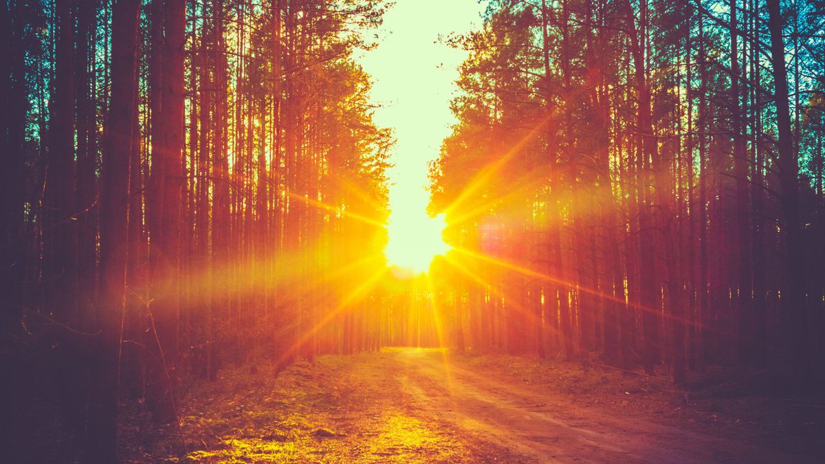 Forest,Road,Under,Sunset,Sunbeams.,Lane,Running,Through,The,Autumn, sun, weather, nap, napos, időjárás, idő, időjárás előrejelzés