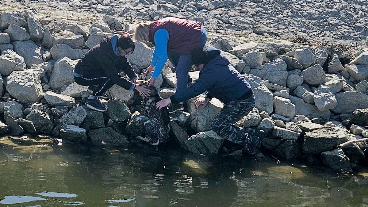 A Rex Komáromi Állatvédő Egyesület tagjai a kimentett kutyával