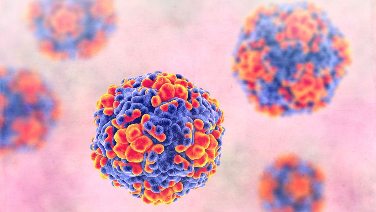 A dengue-láz igen veszélyes betegség, de terjesztői itthon még nem élik túl a telet