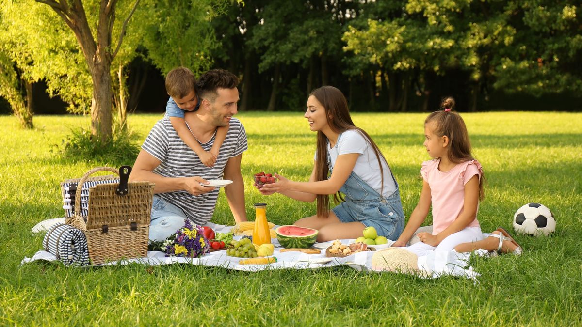 Happy,Family,Having,Picnic,In,Park,On,Sunny,Summer,Day, gyereknap