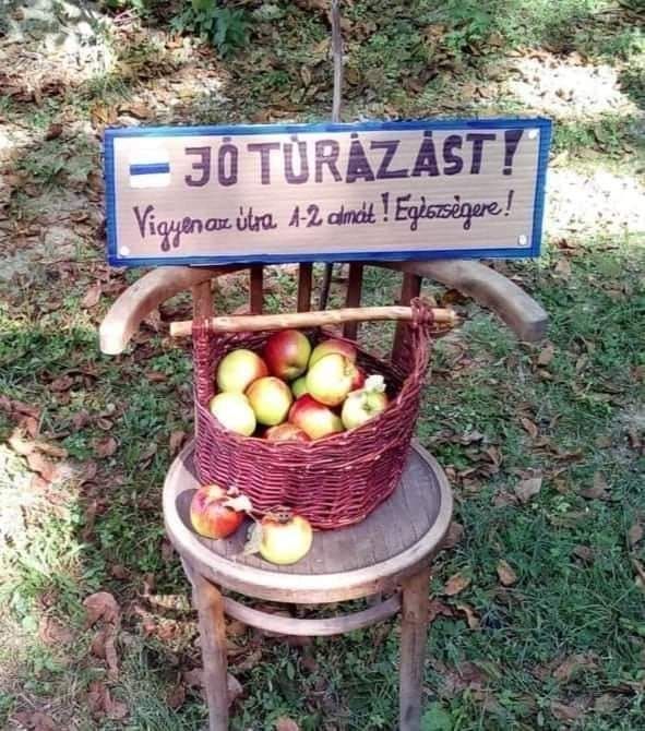 Bár a túrázás önmagában is élmény tud lenni, néha váratlan meglepetések érhetnek. Nagy kedvességgel készült valaki a bakonyi túrázóknak.