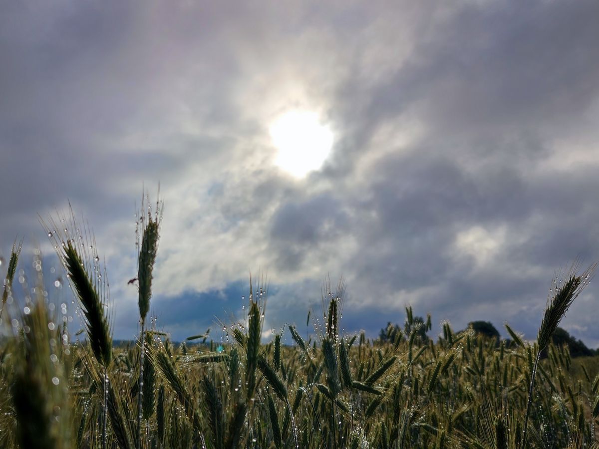 A holnapi időjárás a változékonyabb arcát mutatja