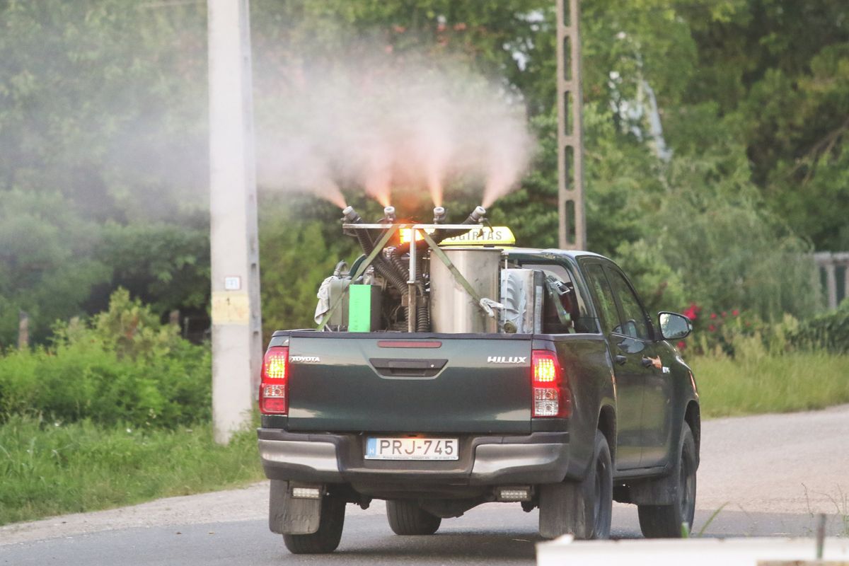 Tata, a „vizek városa” idén is készül a szúnyoginvázióra, amely minden nyáron megnehezíti a helyiek életét. Megtudtuk, hogy idén milyen szúnyogírtást tervez a város.