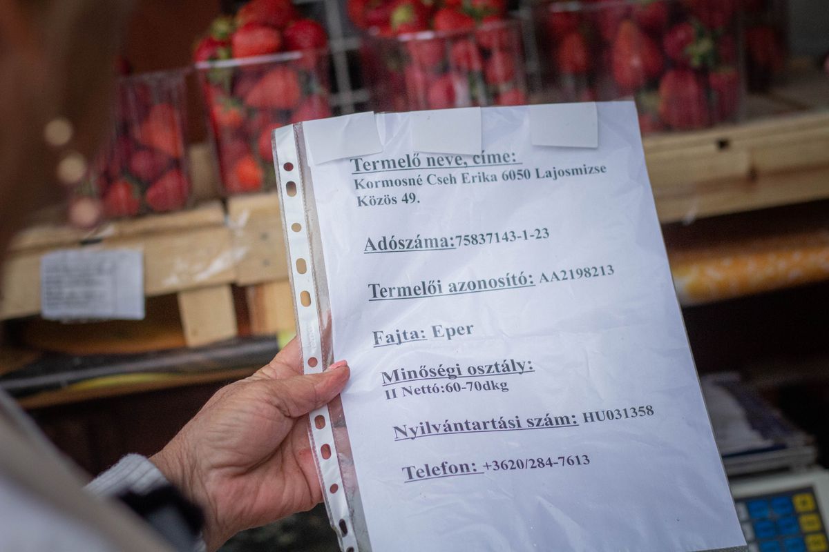Jól nézze meg, hol vesz epret! A gyümölcsárusok nem mindig játszanak tisztán
Sokan trükköznek származási papírral, mérleggel vagy épp az ár feltüntetésével – utánajártunk, hogyan ismerheti fel a tisztességes gyümölcsárust, és mire figyeljen, ha út menti standról vásárol.