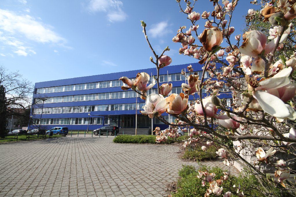 Eladó ingatlan Tatabányán több mint 800 millióért