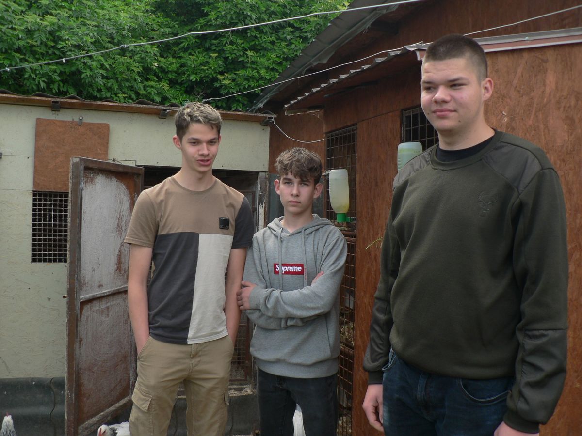 Az életmentő kamaszok elárulták, mit éreztek, hogy vitte őket az adrenalin és elmondták, szerintük manapság mennyire segítőkészek az emberek.