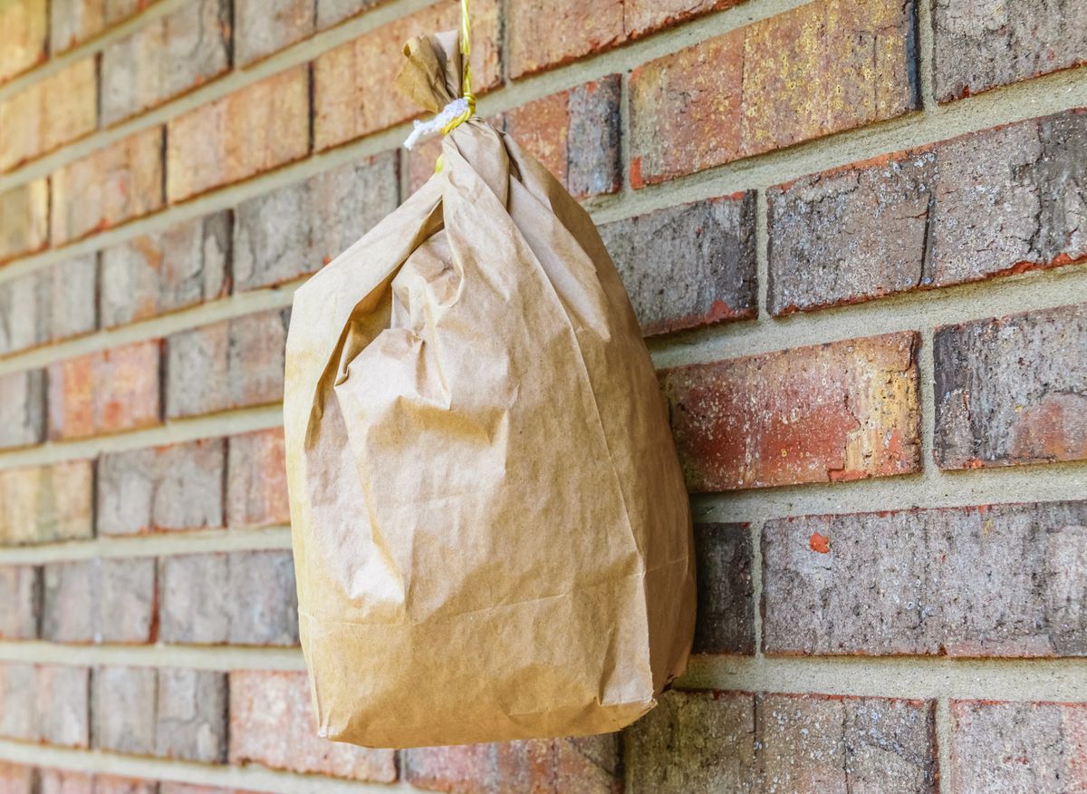 Artificial,Bee,,Warps,Hive,Made,From,A,Paper,Bag,And darázsirtás darázs ellen papírzacskó darázscsapda