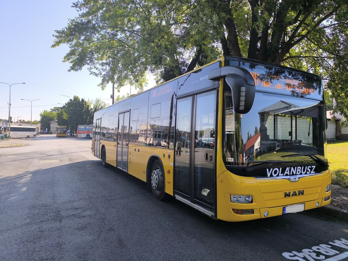 nyári buszmenetrend tata tömegközlekedés