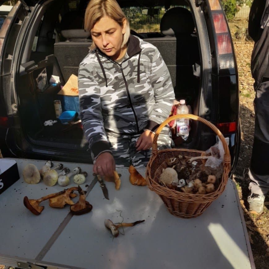 Ne az internetről tanuljunk meg gombászni – tragédia lehet belőle, figyelmeztet a gombaszakértő. Most elmondjuk hogyan indulj neki a gombaszezonnak.