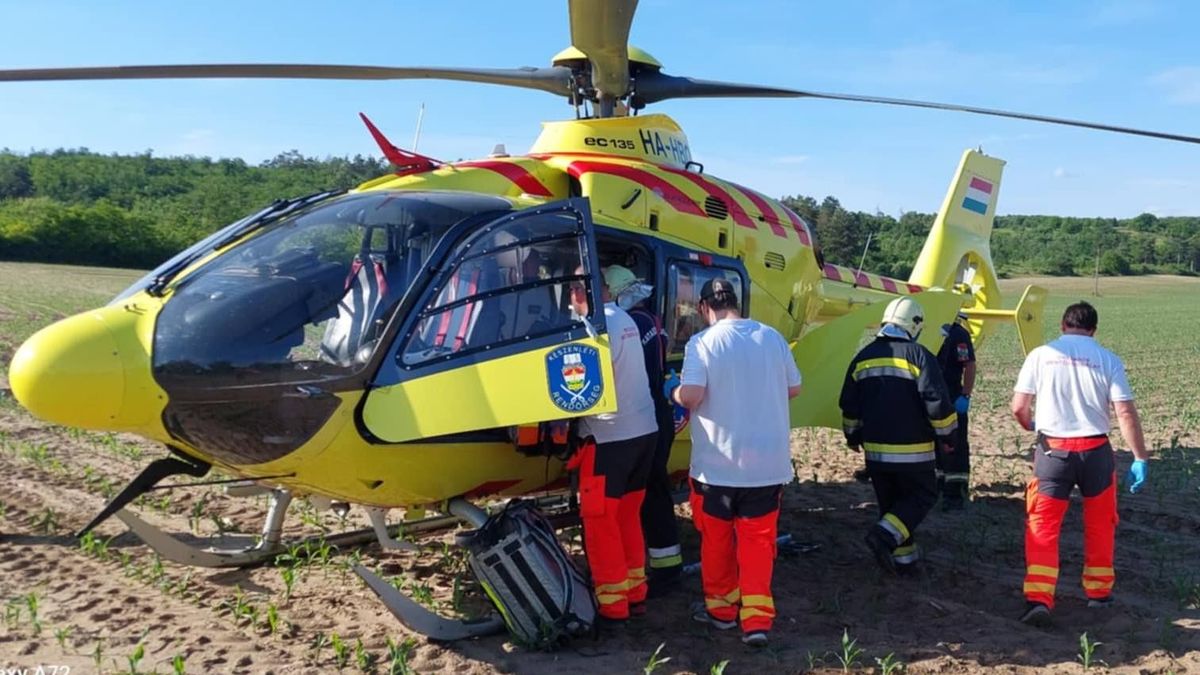 Cserbenhagyta a sofőr az életveszélyesen sérült lányt a környei baleset helyszínén - itt a rendőrség közleménye