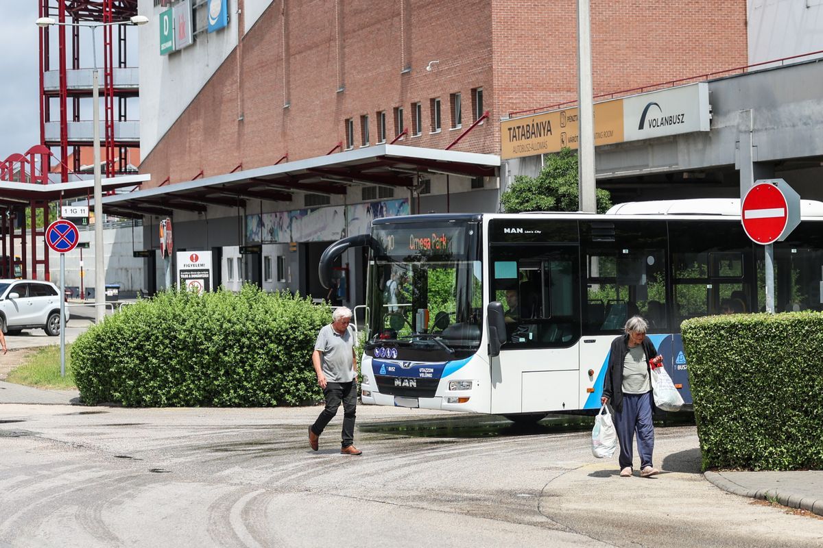 A tatabányai buszközlekedés menetrendje és a menetdíjak is változtak. Itt van minden, amit a T-Busz új feltételeiről tudni kell.