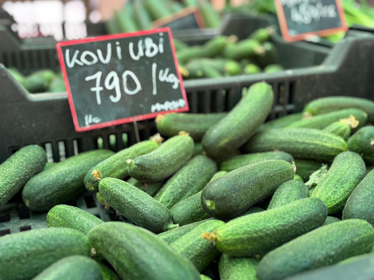 A jó idővel együtt felgyorsult minden a tatabányai piacon. Habár most a "kovi ubi" megy nagyot, nem kell várni a magyar dinnye szezonjára sem. Mondjuk mennyit. 