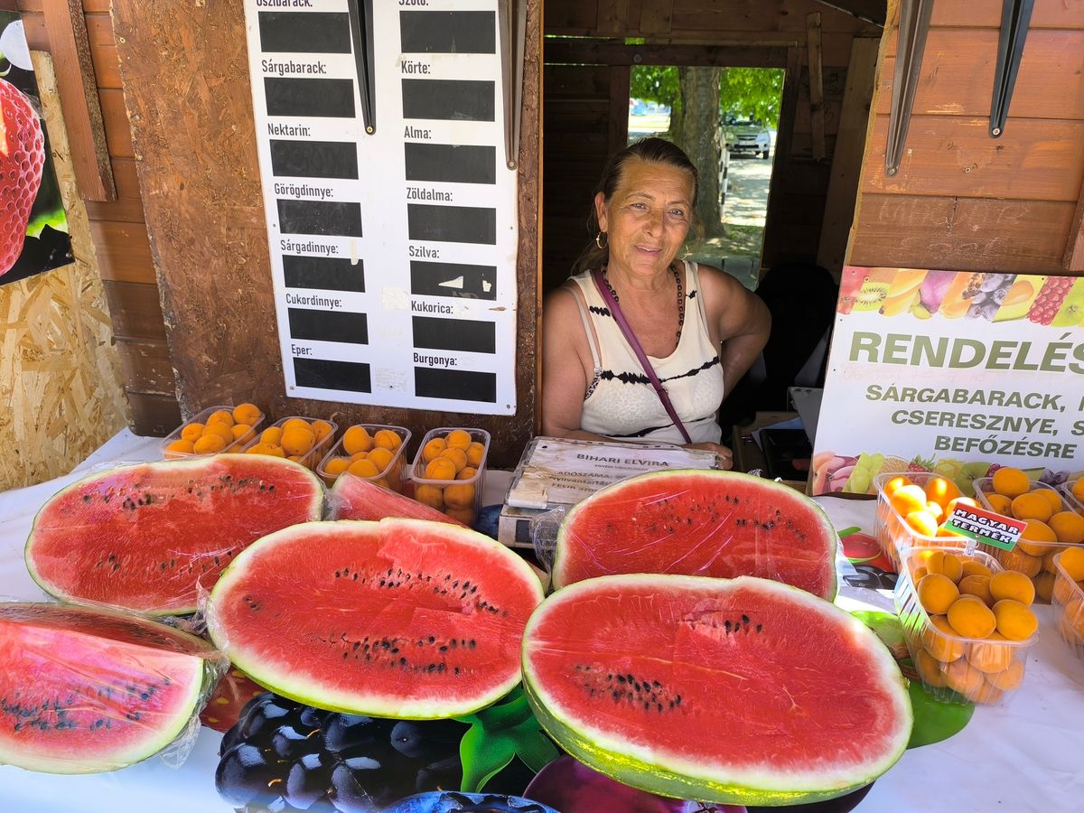 Végre megérkezett a nyár egyik legjobban várt finomsága. Dinnyés Elviránál már kapható a zamatos, hazai magyar dinnye.