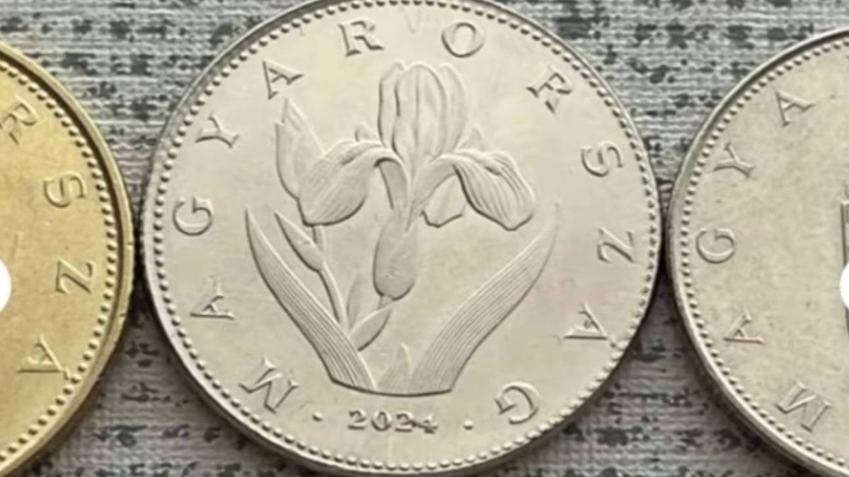 185 ezer forintért kelt el a Vaterán árusított húszforintos