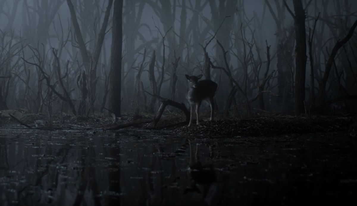 A népszerű fantasy sorozat több ikonikus jelenetét a budapesti Origo Filmstúdióban forgatták le, egészen különleges technikai megoldásokkal. Misztikus tájak, véres csaták és fenevadak – ez a Witcher világa.