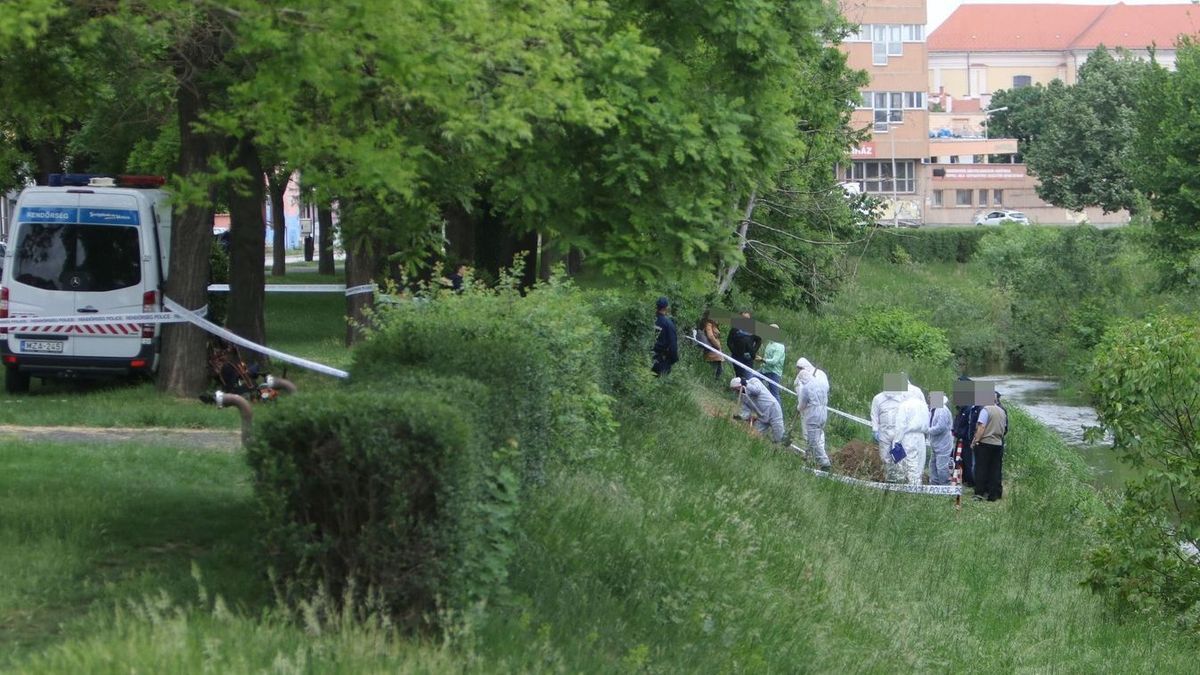 Gyilkosság Szombathelyen: megtalálták a fiú maradványait