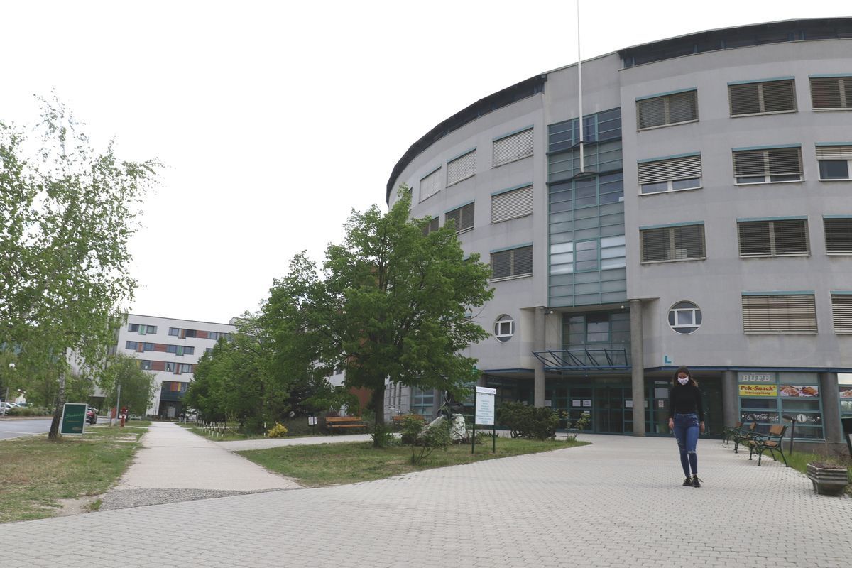 Szívhezszóló levelet kapott a Szent Borbála Kórház