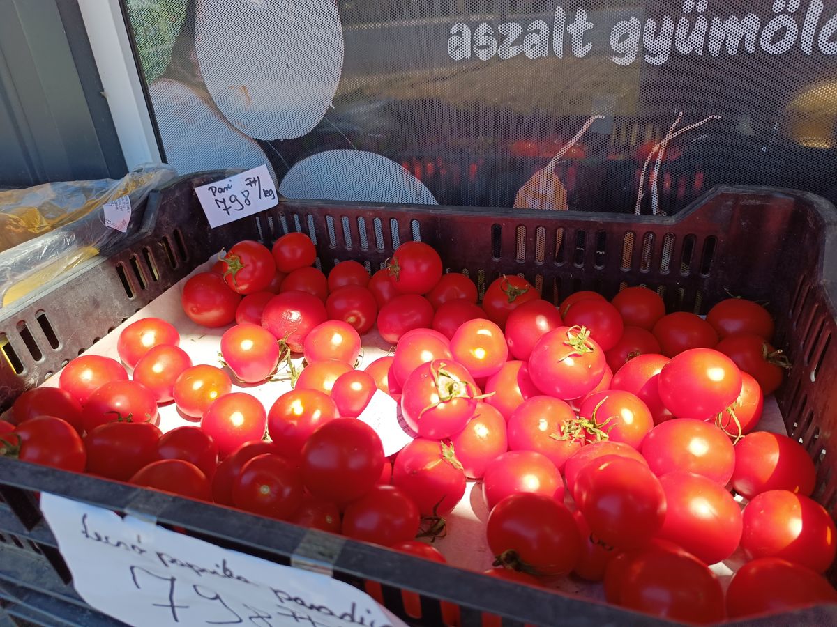 Nyár van, beindult a lecsószezon. Megnéztük,mennyibe kerül a lecsó alapanyag a paprika és a paradicsom.