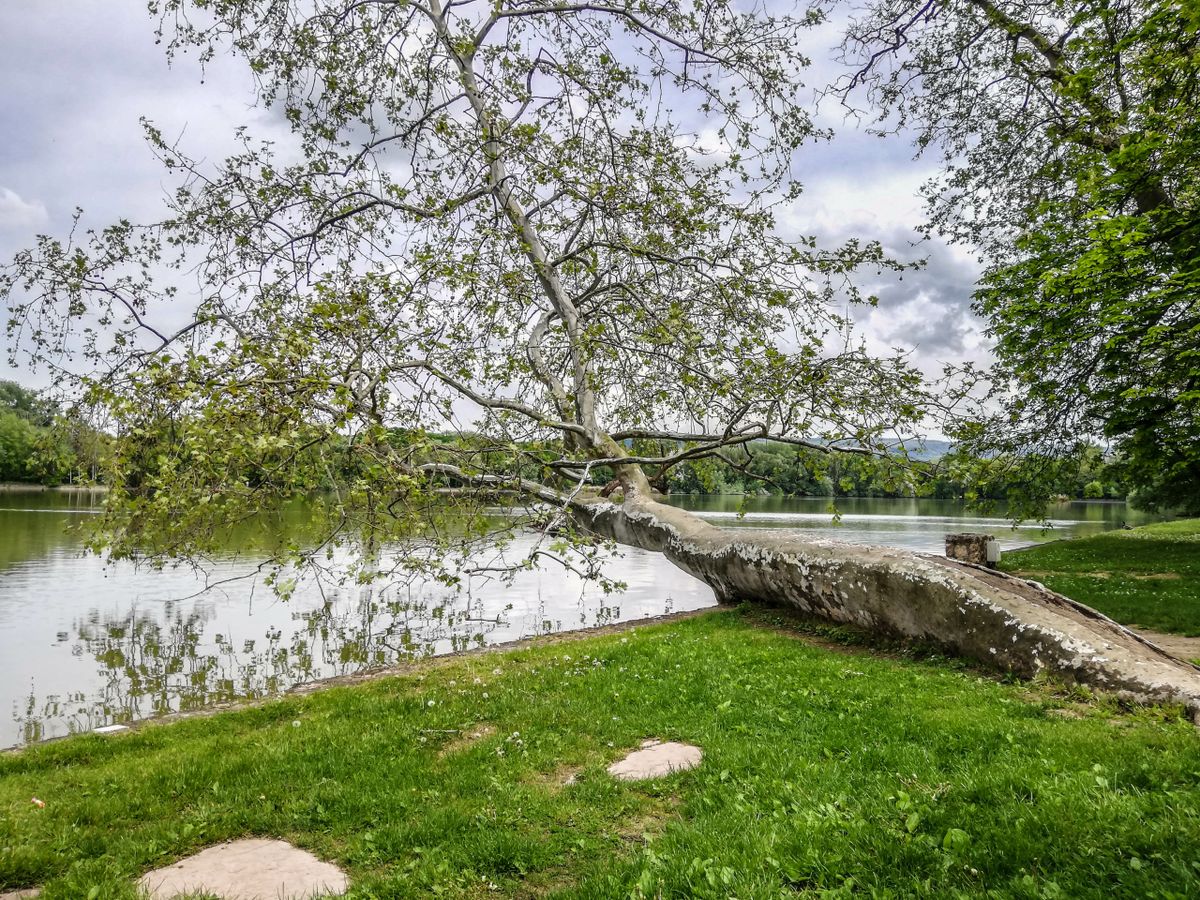 Tatai Öreg-tó: meseszép őszi fotókon a romantika fellegvára