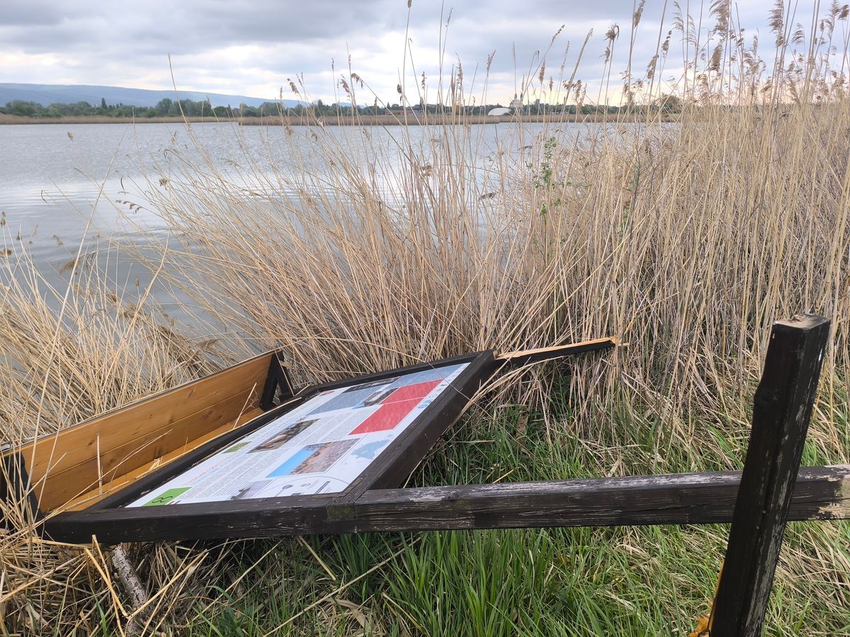 A tatai tanösvény kényelmes pihenőhelyeit és információs rendszerét ismeretlen elkövetők tönkretették