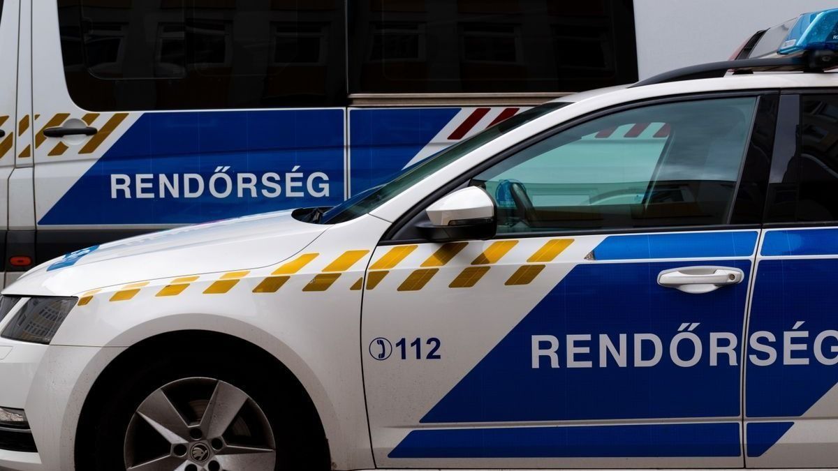 Ismeretlen tolvajokat köröznek Tatabányán, kamerafelvételeken az elkövetők