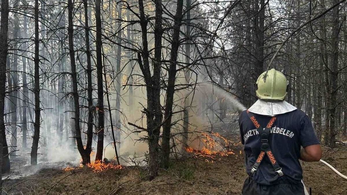 15 hektáron keresztül pusztítanak a lángok a Pilisben