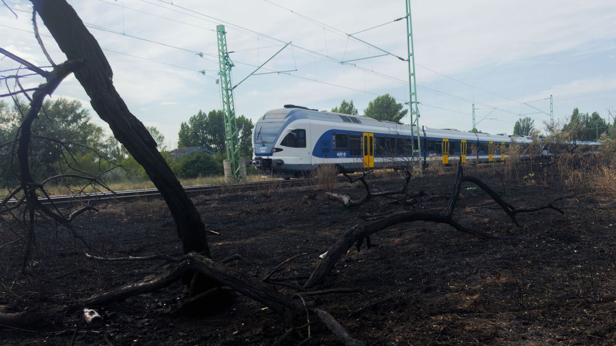 Ismét hatalmas tűz csapott le Tatabányán: fotókon és videón a pusztítás helyszíne