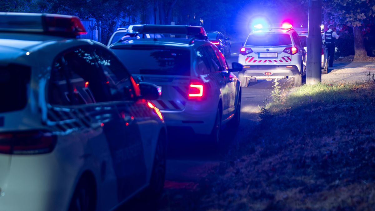 Idős házaspár otthonába tört be és dulakodni kezdett a tatabányai Bonnie és Clyde