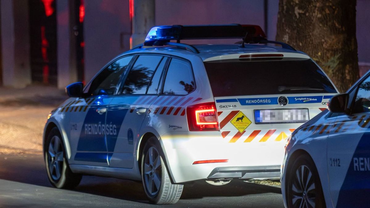 Kristálydílereket fogtak el Tatabányán, lopott árukat is elfogadtak az anyagért +helyszíni fotók