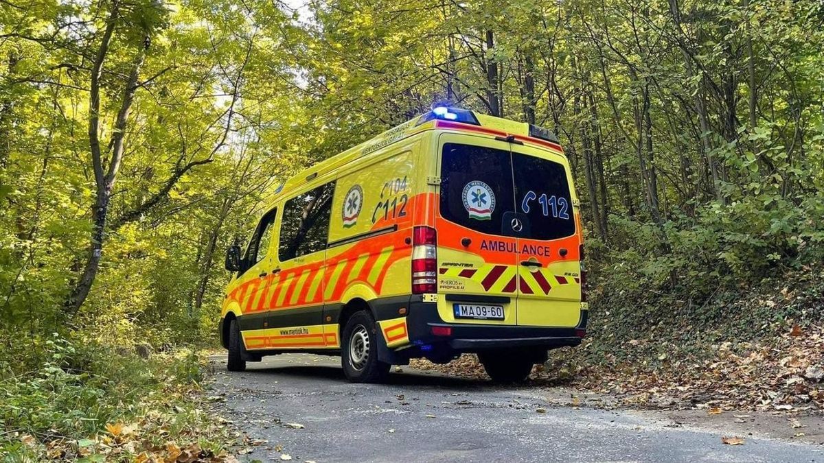 A Pilisbe rohantak a tűzoltók, túrázó került bajba