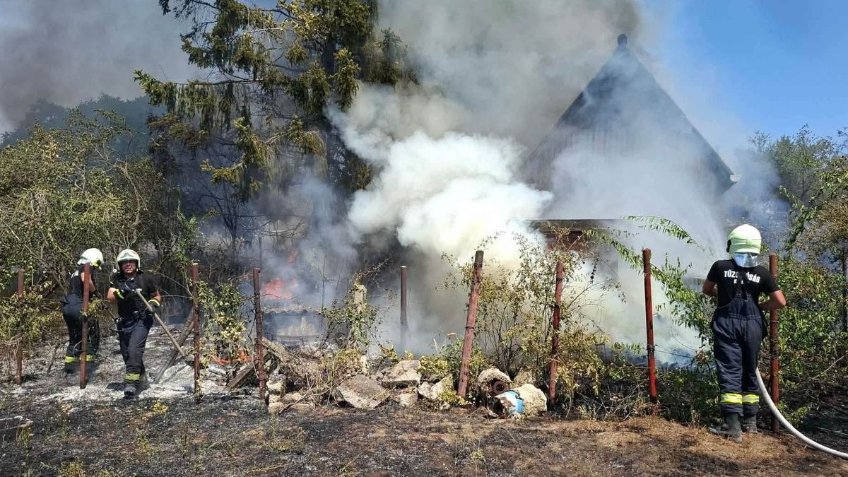 A szárazság sem kíméli Komárom-Esztergomot: sorra riasztják a környei tűzoltókat