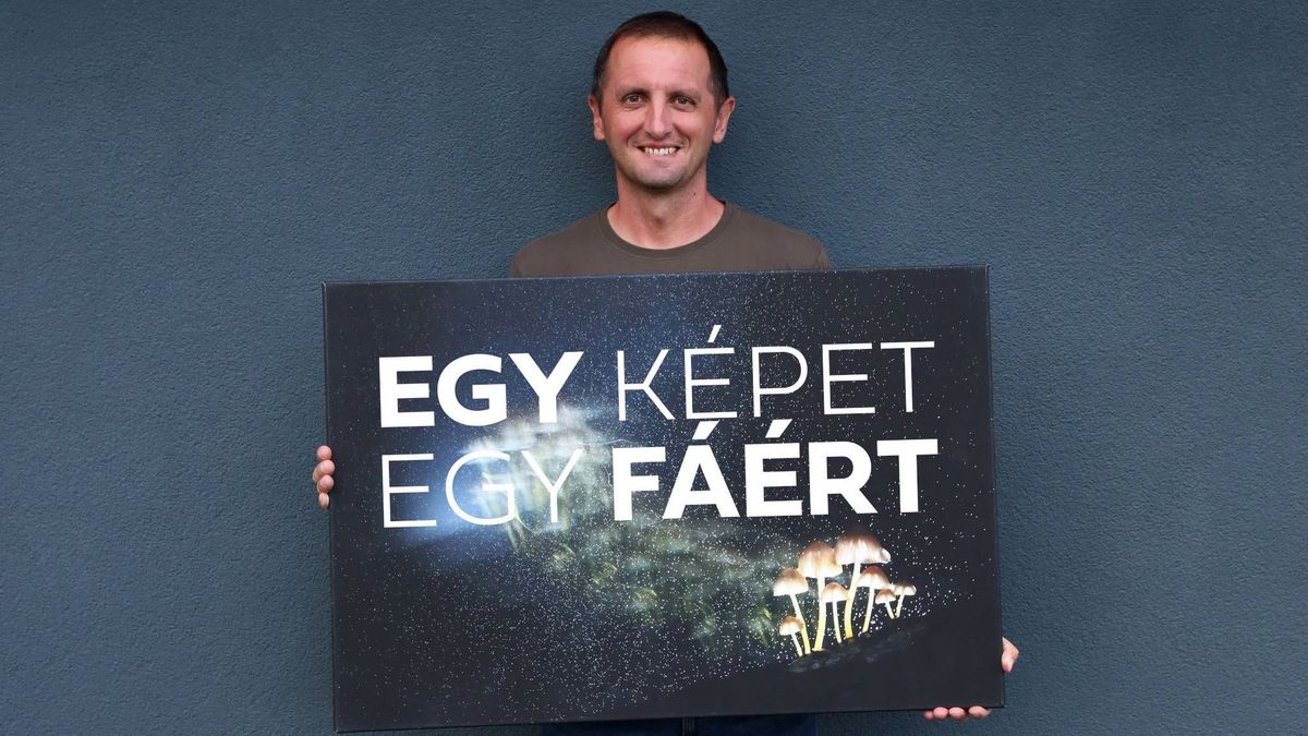 Jótékonysági licitet tartanak Esztergomban: fotóművész fásítaná a várost