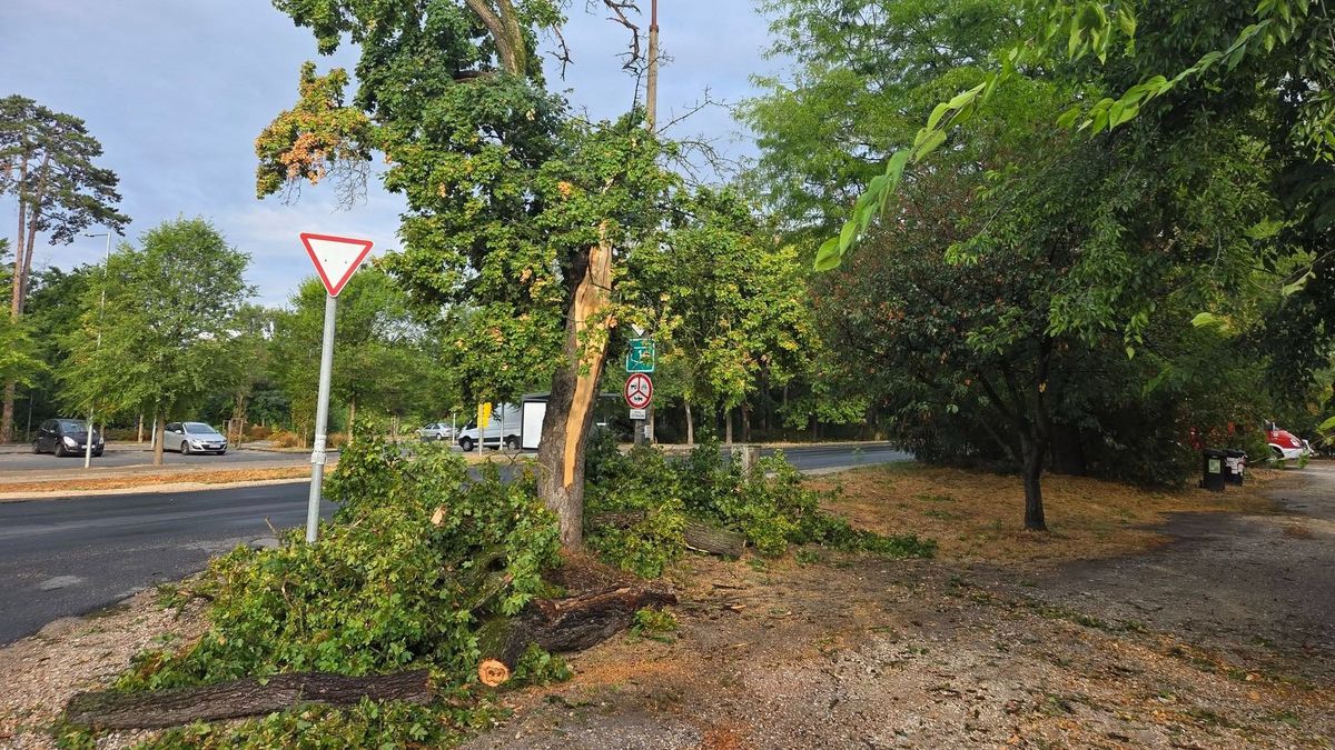 Letarolta a vihar Vértesszőlőst: elemi erővel csapott le az orkán