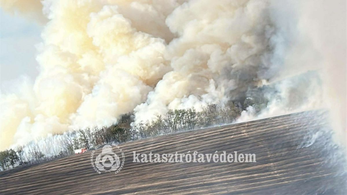 Hatalmas szabadtéri tűz pusztított Esztergom térségében +helyszíni fotók