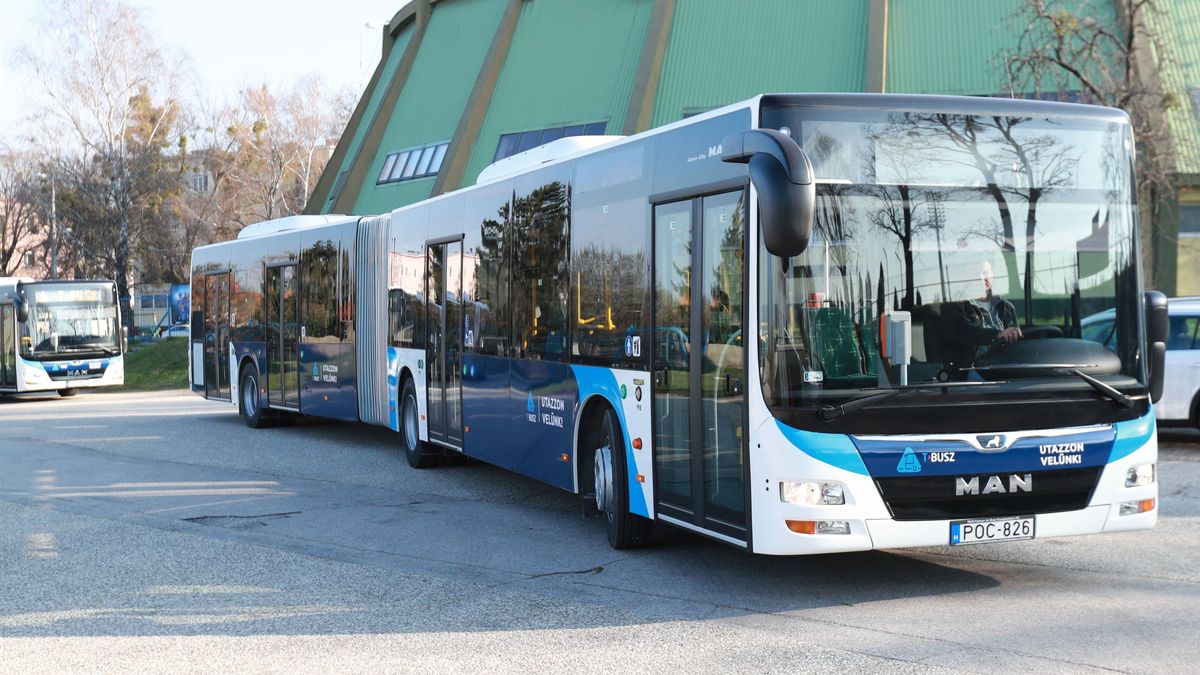 Idén is ingyen bérleteket kapnak a tatabányai gyerekek, de nem mindenkinek jár automatikusan